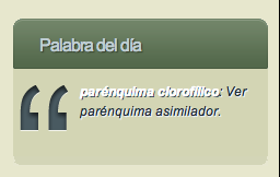 screenshot-1